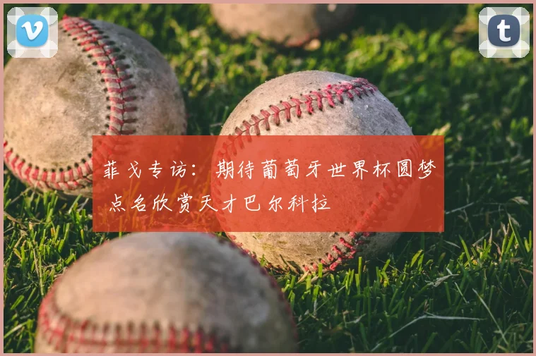 菲戈专访：期待葡萄牙世界杯圆梦 点名欣赏天才巴尔科拉