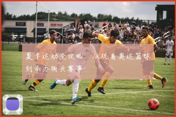 夏季运动全攻略：从观看奥运篮球到举办街头赛事